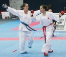 VC- Karate 2011, Bratislava