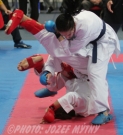 VC- Karate 2011, Bratislava